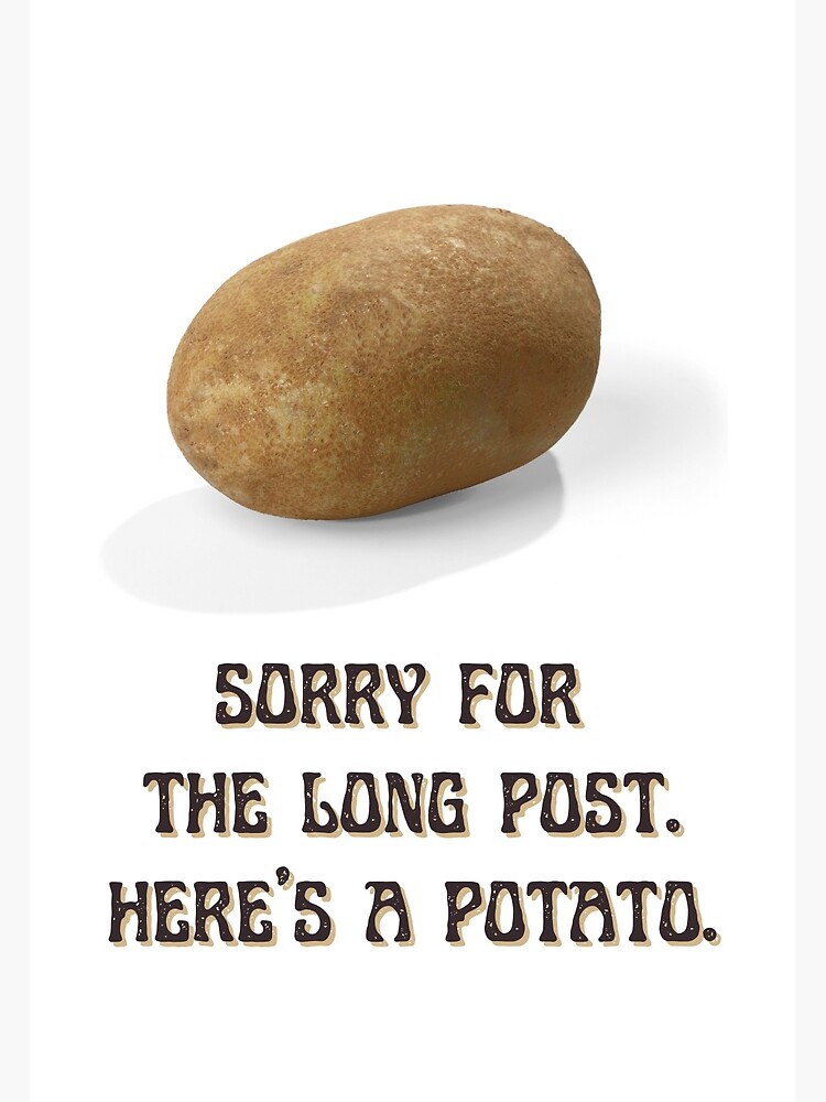 A potato with text beneath it saying 'Sorry for the long post here's a potato'